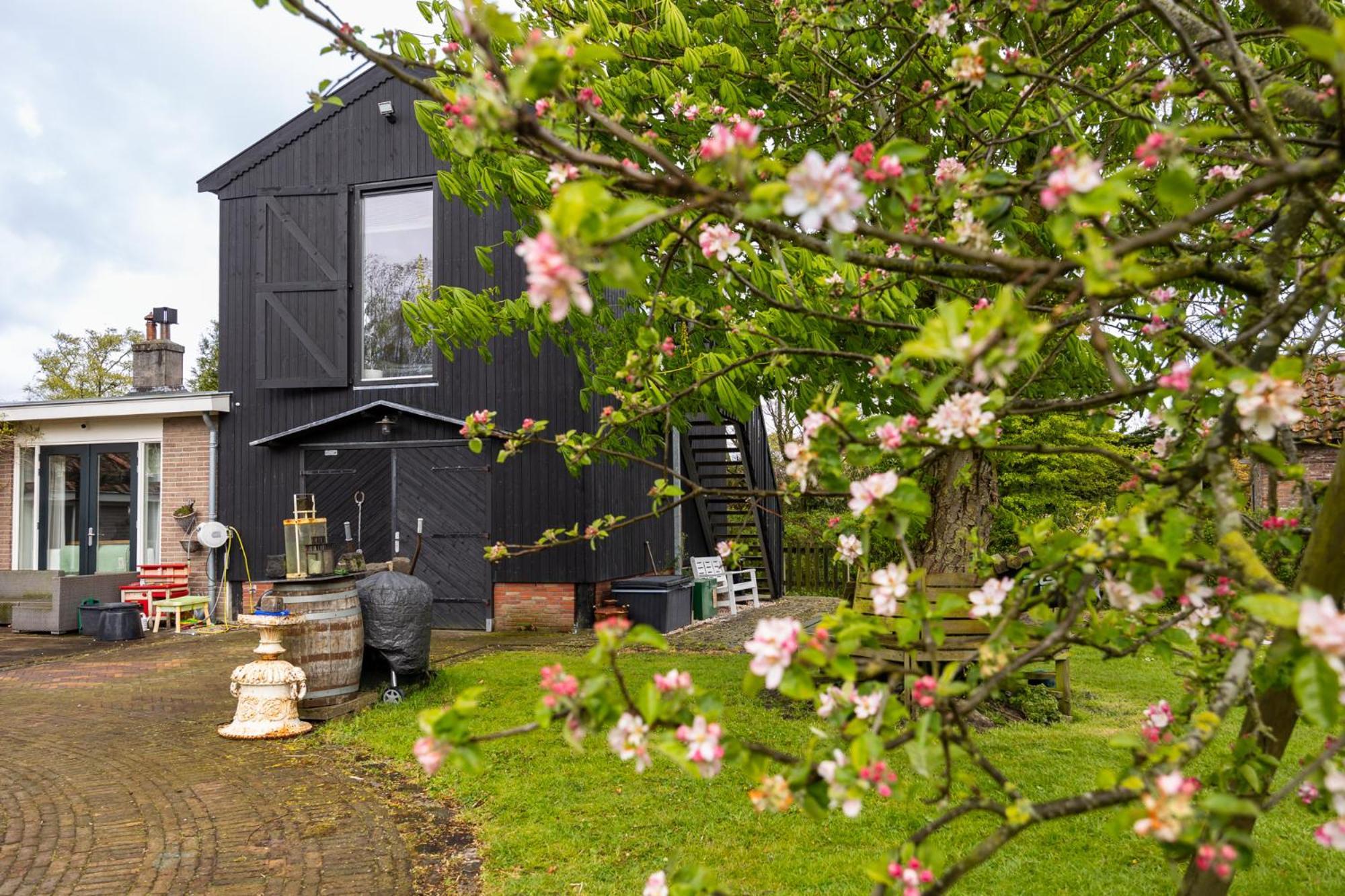 Studio Hooischuur Alkmaar/Bergen Exterior foto